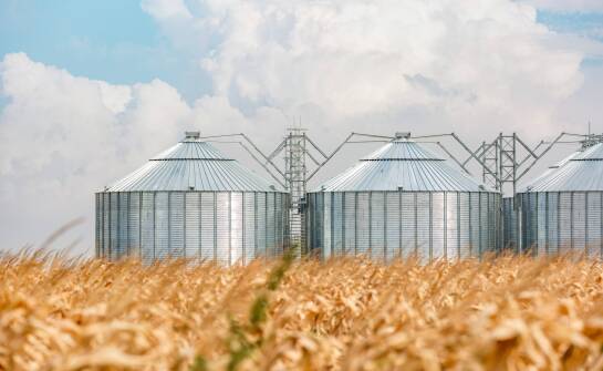 Bucket elevator as a scraping grain conveyor