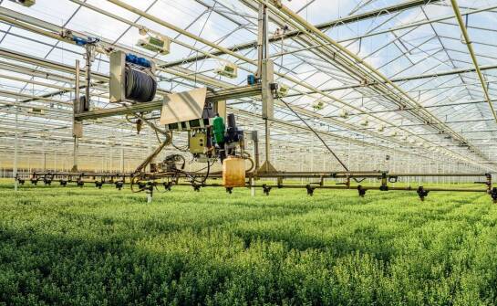 Jak automatyzacja wpływa na oszczędność czasu i zasobów w foliowych tunelach?