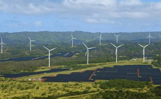 Wpływ metod ekologicznych osuszania na środowisko
