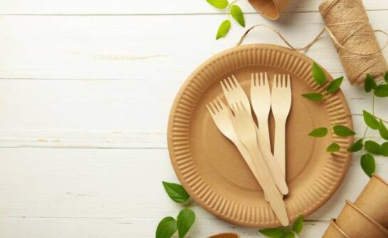 Wybór papierowych talerzy na imprezy plenerowe — co warto wiedzieć?