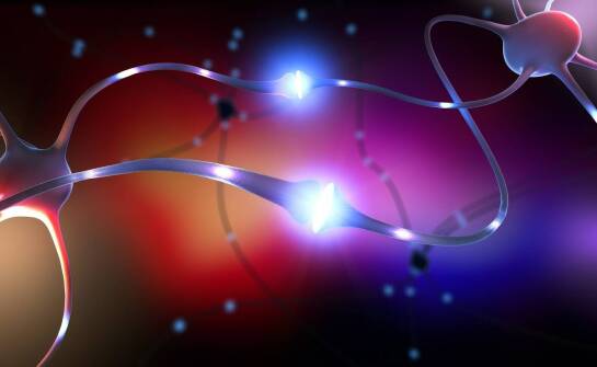 Neurogeneza: klucz do przywracania funkcji po urazach rdzenia kręgowego