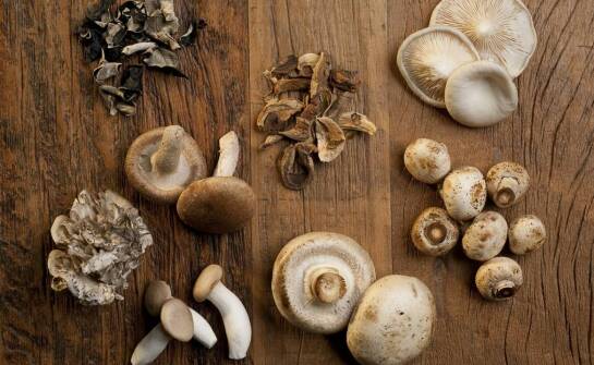 Why is product diversity key in mushroom wholesale sales?