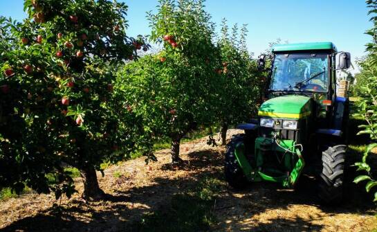 What technological innovations influence the fruit wholesale market?