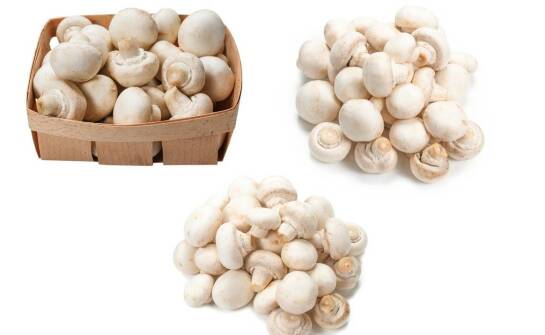 The importance of mushroom wholesalers in delivering fresh products to the food service industry