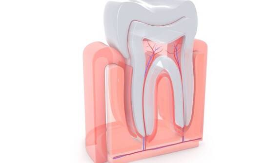 Resekcja korzeni zębów – kiedy jest konieczna?