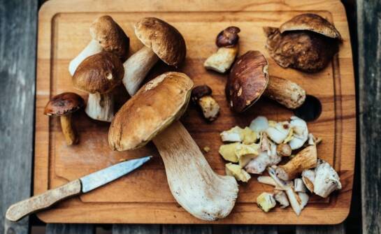 Benefits of choosing Polish mushrooms for the HoReCa sector