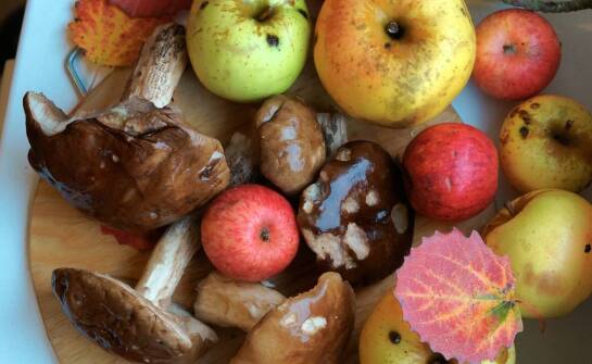 The role of local mushroom suppliers in building customer relationships