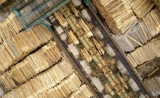 Rola silosów do trocin w zrównoważonym zarządzaniu odpadami drzewnymi