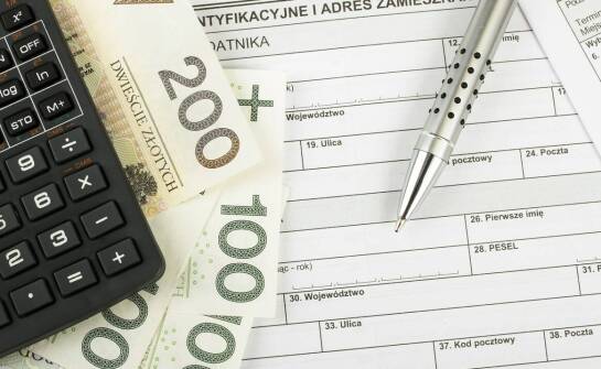 Wpływ automatyzacji na szybkość uzyskiwania wadialnych poręczeń powyżej 100.000 PLN