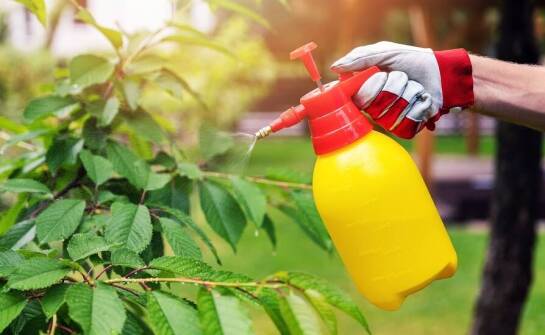 Środki ochrony roślin a zrównoważone ogrodnicze praktyki