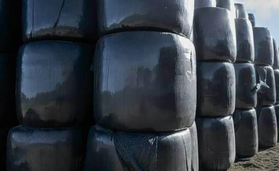 Przewodnik po rodzajach folii do sianokiszonek dostępnych na rynku.