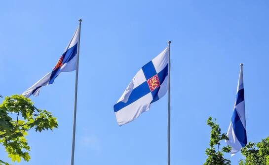 Język fiński dla początkujących – jak wygląda struktura tego kursu?