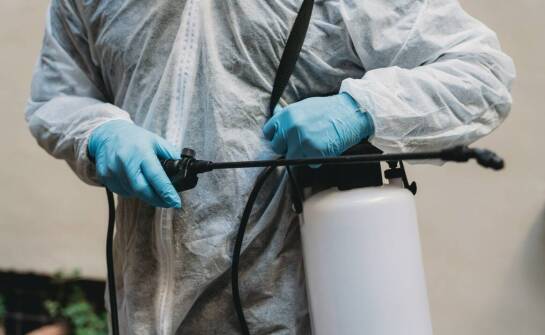 Bezpieczeństwo stosowania chemicznych środków w zwalczaniu latających owadów