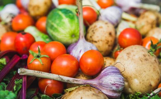 How Does a Vegetable Producer Support Sustainable Development in the Food Industry?