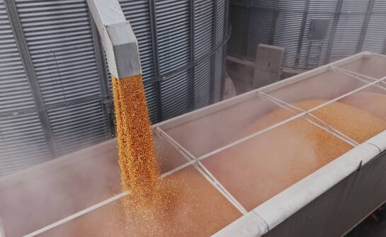 Wpływ warunków pogodowych na działanie przenośników do zboża