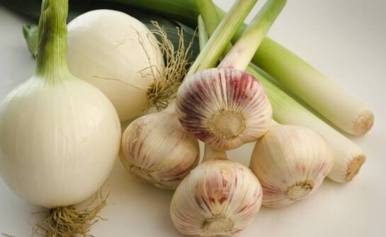 Wholesale Onion Deliveries – How to Ensure the Highest Product Quality?