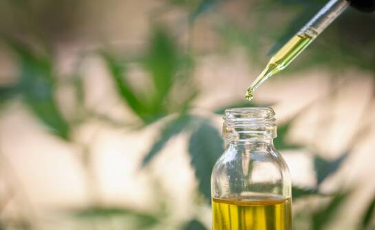Olej CBD 5% — właściwości, zastosowania i najważniejsze informacje