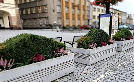 Donice miejskie — praktyczne pomysły na zieleń w przestrzeni publicznej