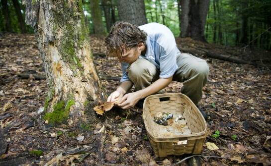 Inwentaryzacje przyrodnicze — co warto wiedzieć na start