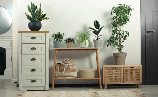 Konsole dekoracyjne: inspiracje i pomysły na stylowe aranżacje wnętrz