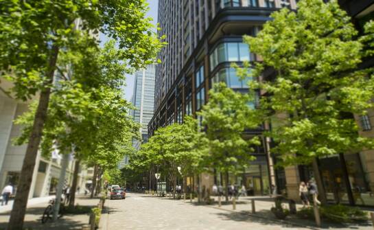 Ulica i komunikacja przy dużych alejach: co warto wiedzieć o planowaniu przestrzeni miejskiej