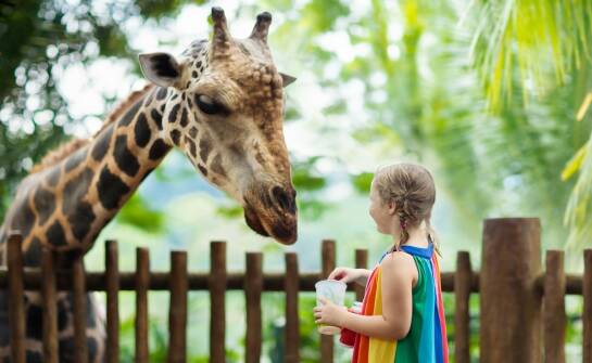 Atrakcje i ciekawostki ogrodu zoologicznego: co warto wiedzieć