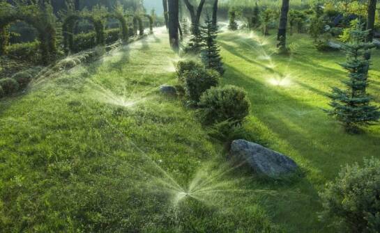 Jak często należy podlewać trawnik?