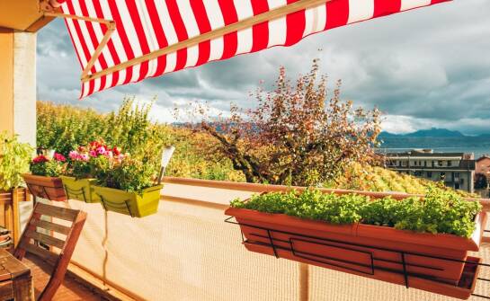 Zadaszenia tarasów — jak wybrać idealne rozwiązanie na każdy balkon