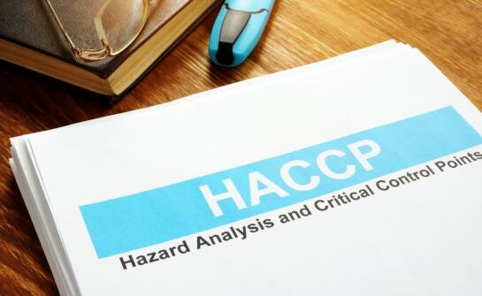 Audyt HACCP: kluczowe zasady i najczęstsze błędy do poprawy