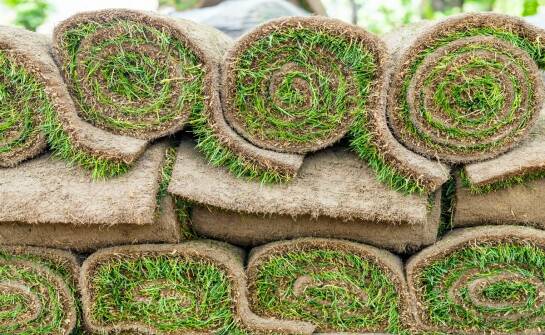Trawa z rolki: jak wybrać najlepszy produkt dla ogrodu