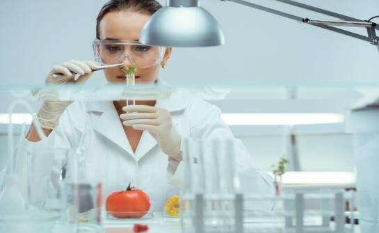 Studia dietetyczne: co warto wiedzieć przed wyborem kierunku nauki