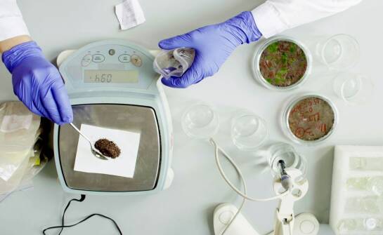Biorezonans jako metoda wspomagająca zwalczanie pasożytów — co warto wiedzieć