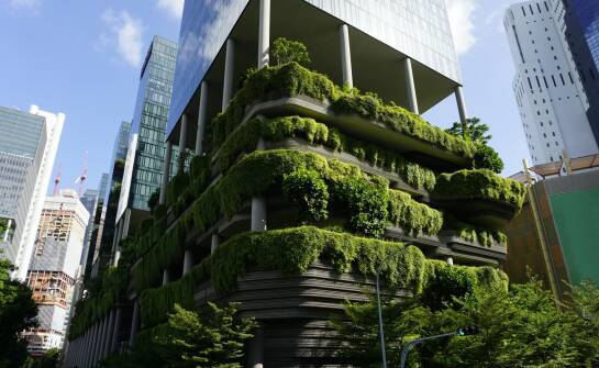 Ogrodów wertykalnych: pomysły i korzyści dla przestrzeni miejskiej