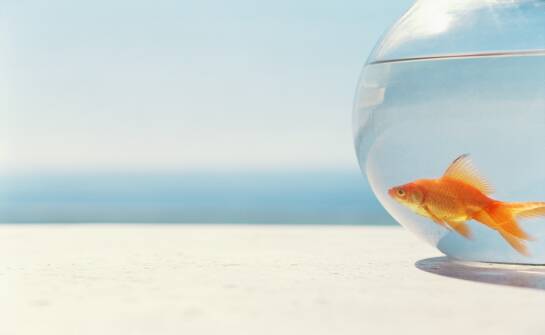 Skuteczne strategie marketingu przyciągające uwagę w top of funnel Goldenshark