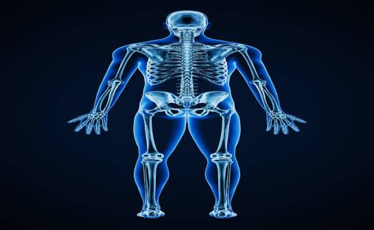 Ortopedia: najważniejsze informacje o diagnostyce i leczeniu schorzeń układu ruchu