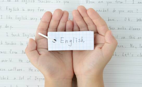 Lektor angielskiego: jak wybierać kursy i ocenić efektywność nauki