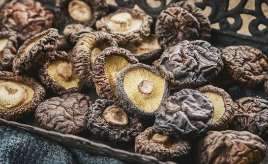 Wholesale mushroom supplier – the key to creativity in professional kitchens