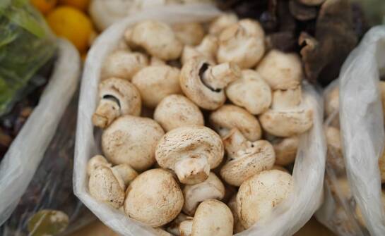 The importance of flexible mushroom suppliers for success in the food sector