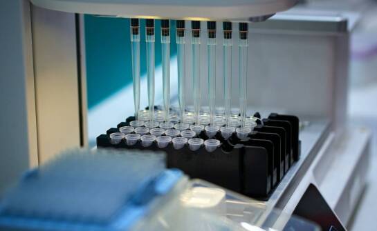 Na co patrzeć przy doborze termocyklera do rutynowych badań PCR w laboratorium