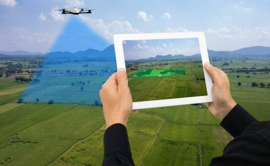 Jak oprogramowanie zamienia dane z dronów i czujników w decyzje agrotechniczne