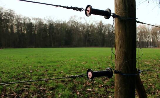 Stałe ogrodzenie elektryczne dla bydła, koni i owiec — błędy montażowe, które osłabiają działanie