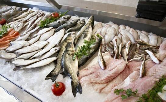 Zmiennocieplność ryb: od biologii organizmu do odbioru surowca w HoReCa