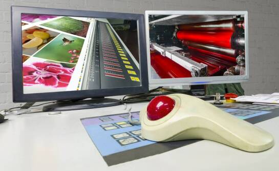 Fretka i królik w gabinecie — dlaczego ich objawy łatwo przeoczyć
