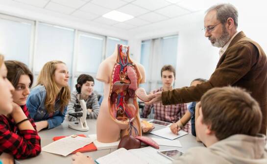 Jak ocenić, czy fantom anatomiczny sprawdzi się w szkolnej dydaktyce biologii i przyrody