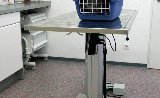 Jak wygląda zakres opieki w przychodni dla psa, kota, fretki i królika