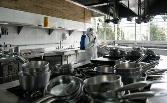Jak IPM ogranicza nawroty owadów w domach, gastronomii i instytucjach