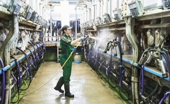 Ergonomia, kontakt z żywnością i dostęp do zakamarków — jak dobierać narzędzia do mycia w mleczarni