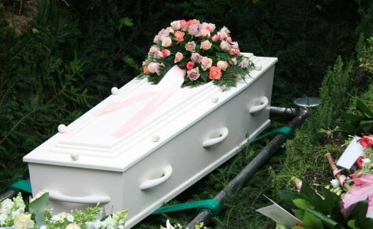 Jak przebiega pochówek zwierzęcia na cmentarzu i jakie formalności trzeba ustalić wcześniej