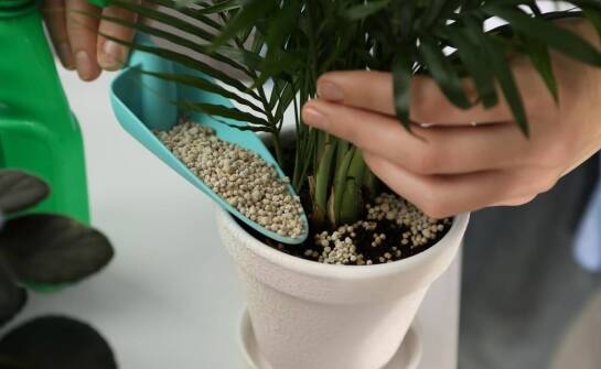 Serweta foliowa w florystyce — kiedy porządkuje bukiet i osłania roślinę doniczkową