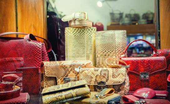 Jak rozpoznać charakter designerskich kolekcji premium, gdy szukasz stylu zamiast trendu